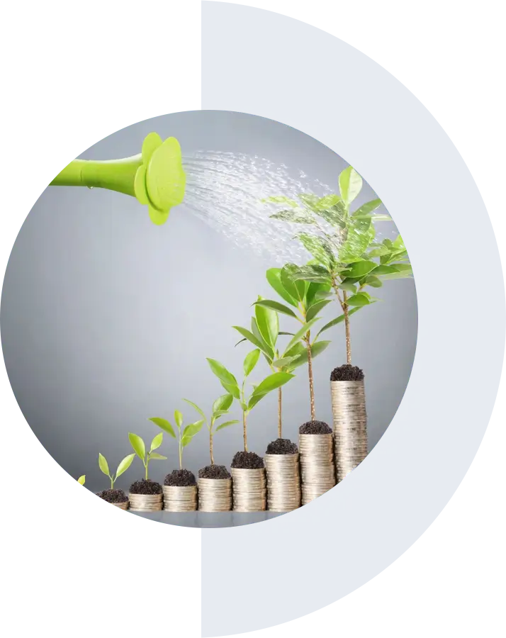 Watering can pouring water on plants growing from stacked coins, symbolizing financial growth and investment.