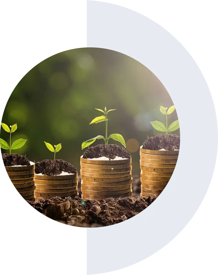 Stacks of coins with growing plants on top, symbolizing financial growth, against a blurred green background.